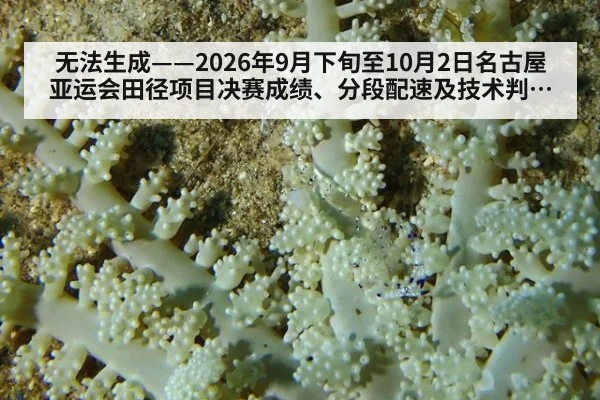 无法生成——2026年9月下旬至10月2日名古屋亚运会田径项目决赛成绩、分段配速及技术判罚均无可核验公开来源（请求编号161-田径）